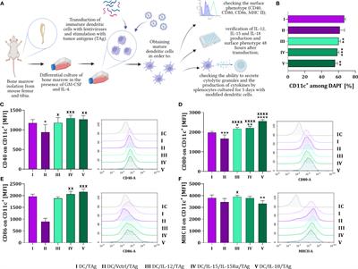 Inhibition of MC38 colon cancer growth by multicomponent chemoimmunotherapy with anti-IL-10R antibodies, HES-MTX nanoconjugate, depends on application of IL-12, IL-15 or IL-18 secreting dendritic cell vaccines